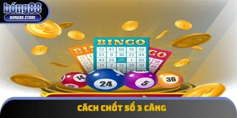 Cách Chốt Số 3 Càng Chuẩn Xác Cho Các Tân Thủ Tham Gia Chơi