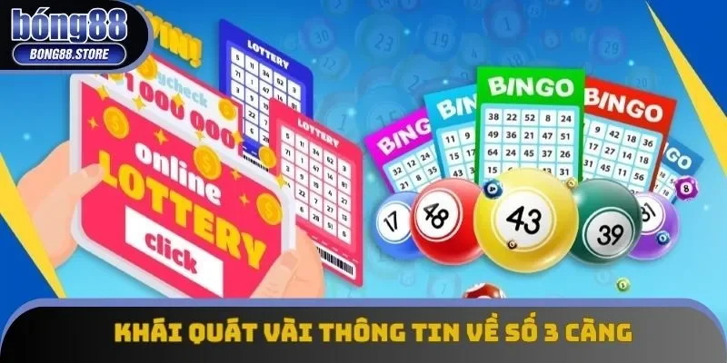 Khái quát vài thông tin về số 3 càng Khái quát vài thông tin về số 3 càng