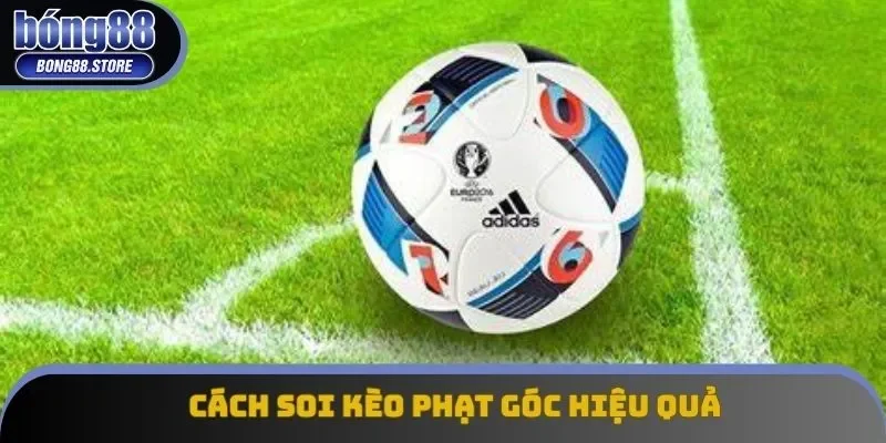 3 lời khuyên hữu ích để nhận định chuẩn chỉ số lượng góc của trận đấu 3 lời khuyên hữu ích để nhận định chuẩn chỉ số lượng góc của trận đấu